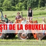vesti bruxelles o