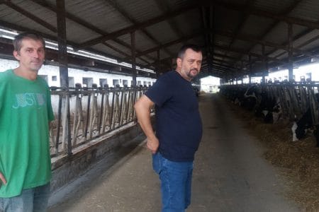viorel ninulescu o