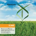 xemium 1200x1200 2 o