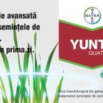 yunta quattro o 1