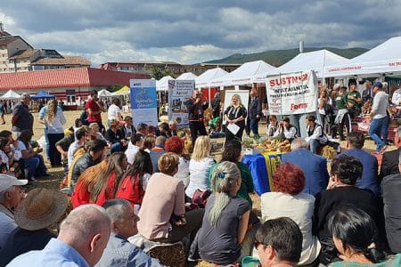 ziua liceelor alba iulia 1 o