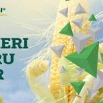 ziua porumbului 2021 o