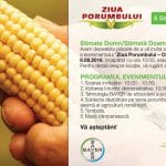 ziua porumbului orezu o