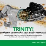 553499697 kv trinity sc landscape diacritica o