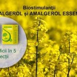 amalgerol essence o