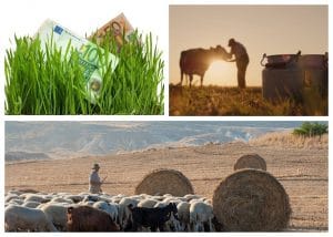 Plăți fermieri, crescători animale, achitate de AFIR în această săptămână!