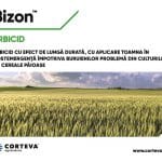 banner bizon o