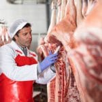 control carne ansvsa o