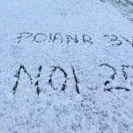 coperta ninsori 2024 o