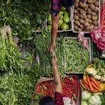 corteva agriscience vegetables solutions for food security system o