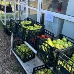 fruct gratis o