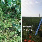 korvetto tratat netratat o