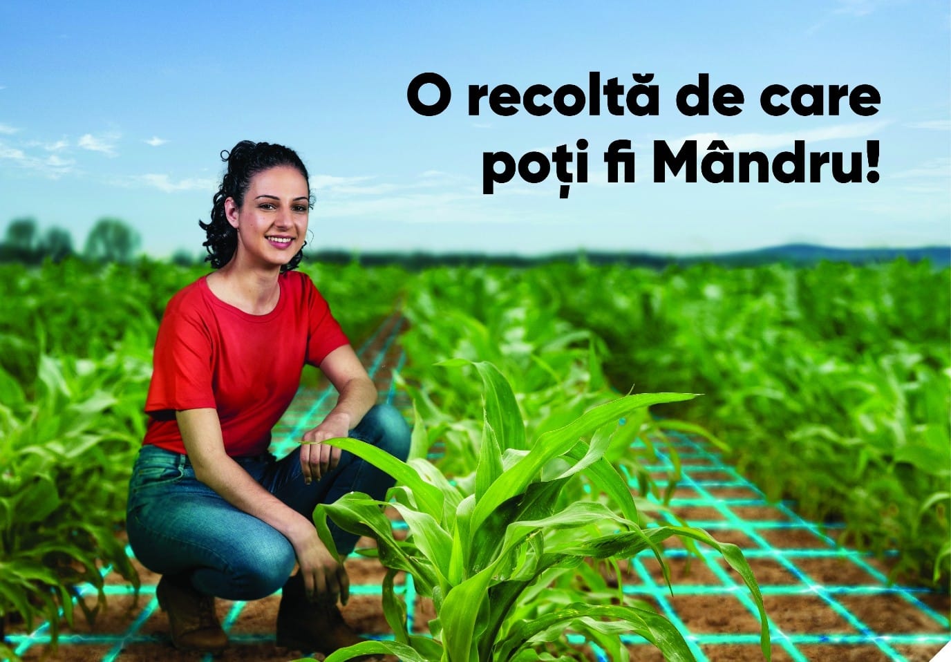 principal forte erbicid porumb corteva