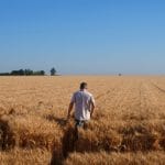 man in wheat corteva agriscience cutting edge technologies protect the health of crops in romania o
