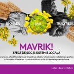 mavrik landscape o