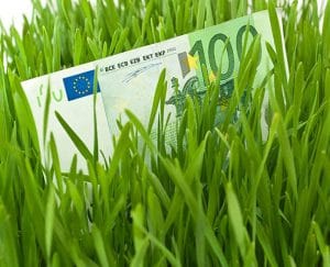 Ministerul Agriculturii a calculat suma APIA pe hectar pe care o iau anul ăsta fermierii!