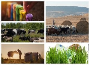 MADR: Cuantum minim, maxim și unitar subvenții APIA pentru acest an!