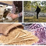 plati agricol colaj o