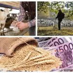plati agricol colaj o