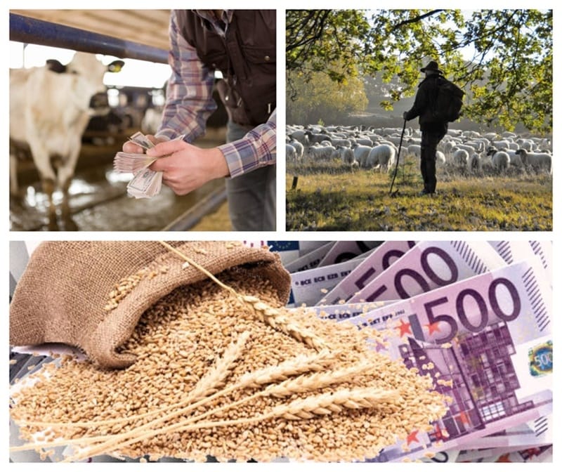 plati agricol colaj o