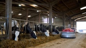 Ministerul Mediului: 72 de ferme sunt modernizate cu 60 milioane euro împrumutate!