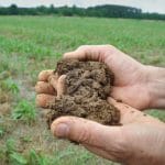 soil corteva agriscience harness nature power for a sustainable agriculture o