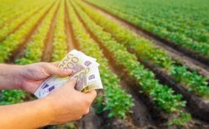 subventii teren 2024 o