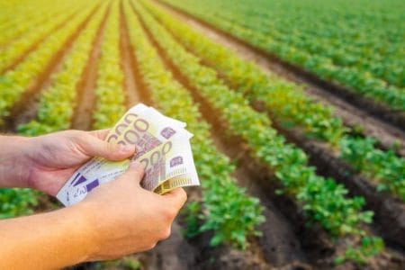 subventii teren 2024 o