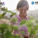 talenta 2024 corteva agriscience o