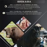 zilele angus 2024 o