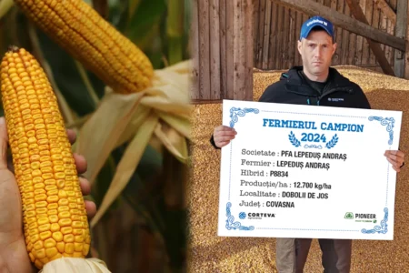 Andras Lepedus fermier campion cu hibridul P8834