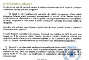cerinte spec eco