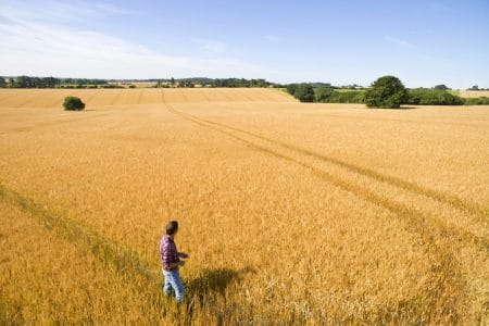 corteva tratament seminte cereale