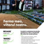 erbicide grau corteva tarzec rexade o