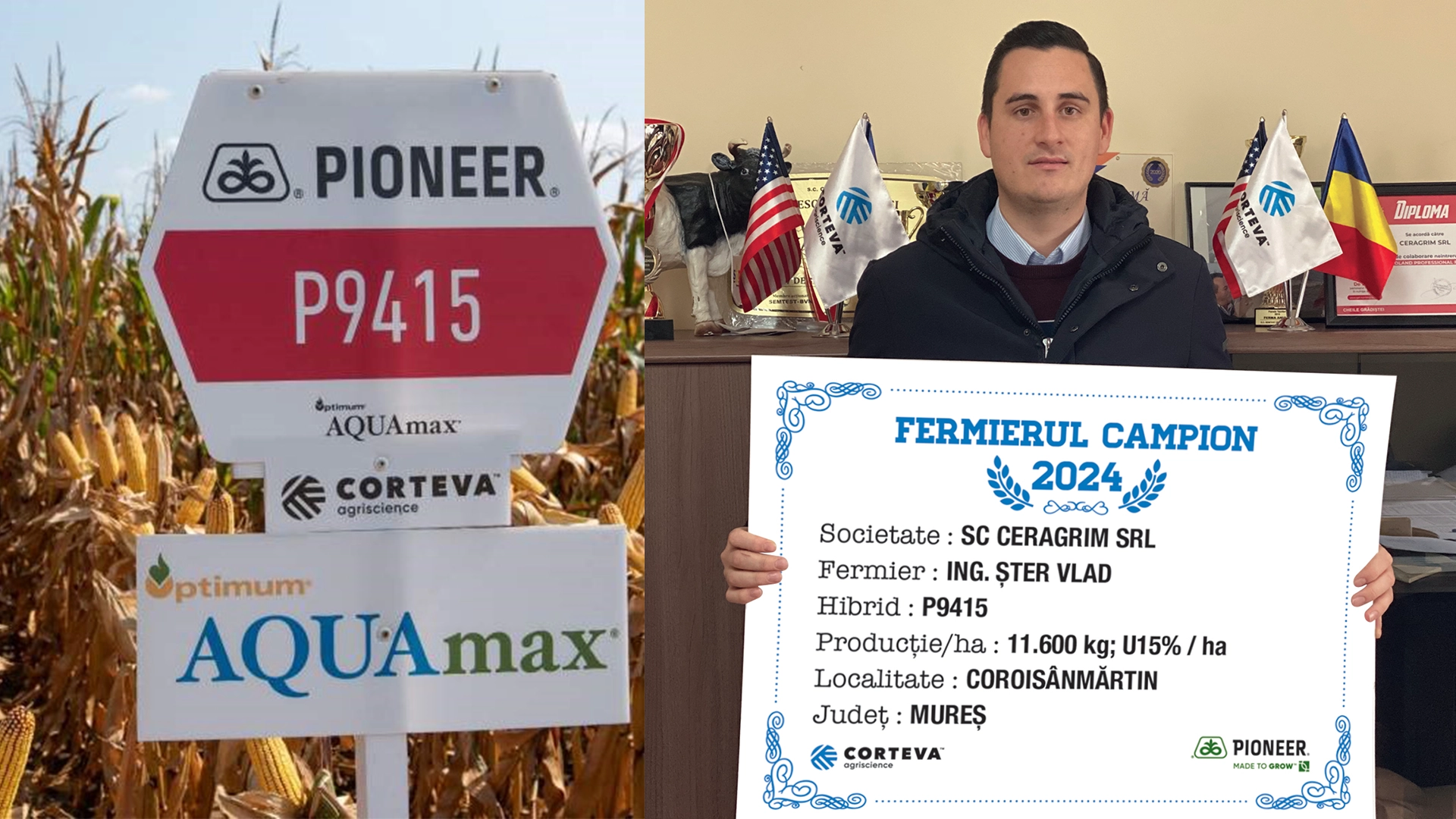 fermier campion la porumb boabe și porumb siloz