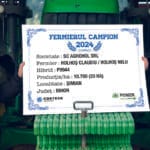 nelu holhos claudiu holhos porumb p9944 corteva