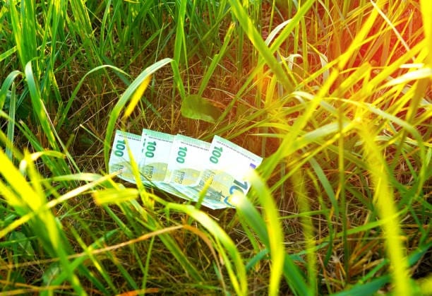 pret hectar pasune o