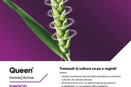 queen fungicid corteva o