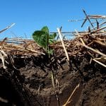 reimagining soil health corteva agriscience o