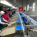 spinosad cerasus group corteva agriscience 3 o