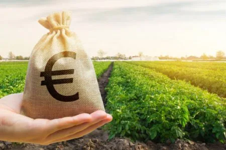 subventii legume 2025 o