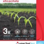 syngenta pachet erbicid porumb lumax dual next o