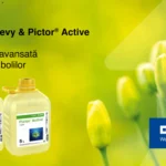 Pictor® Active și Pictor® Revy - Inovație și protecție pentru culturi sănătoase