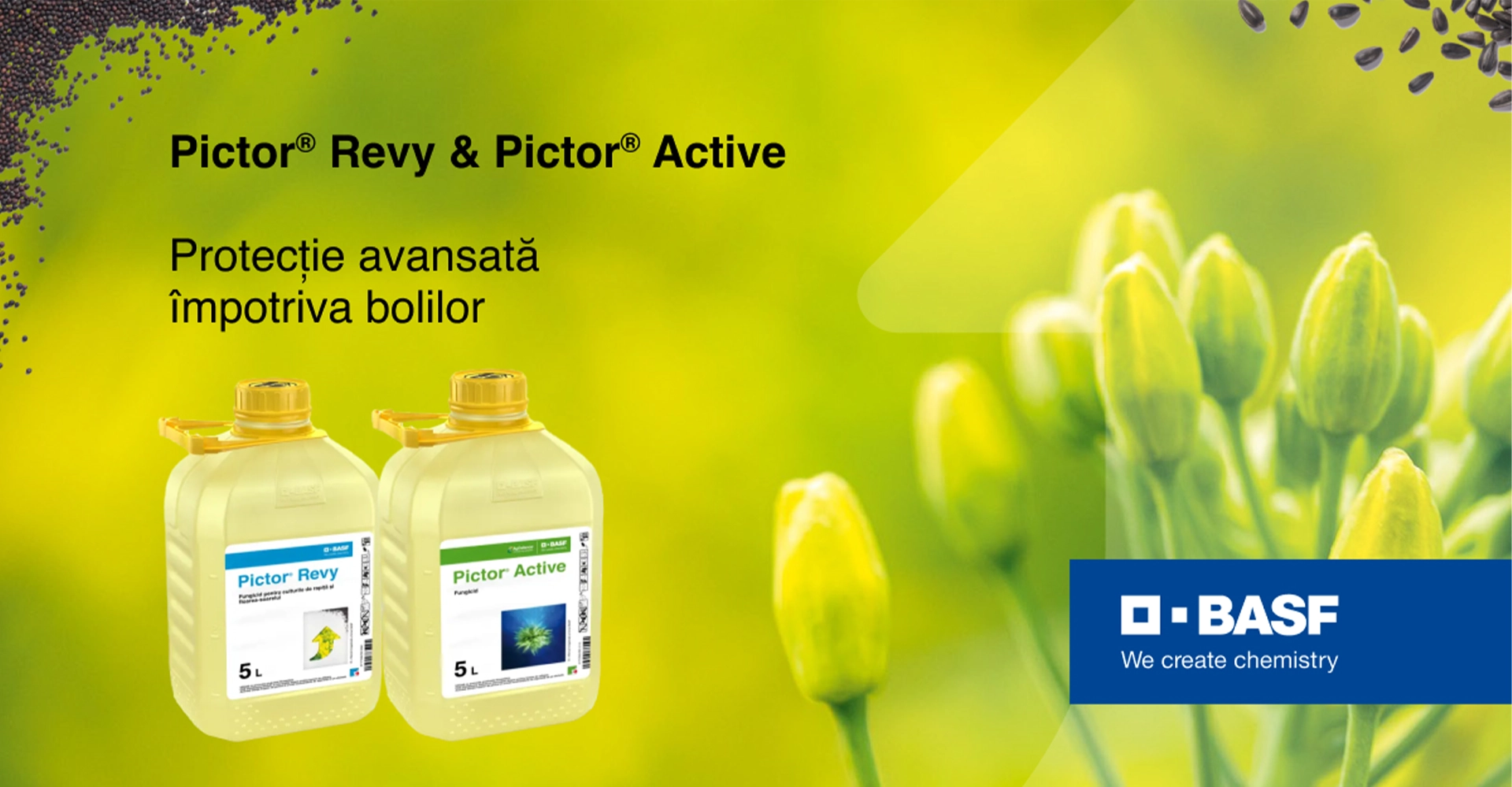 Pictor® Active și Pictor® Revy - Inovație și protecție pentru culturi sănătoase 1 Pictor® Active și Pictor® Revy - Inovație și protecție pentru culturi sănătoase