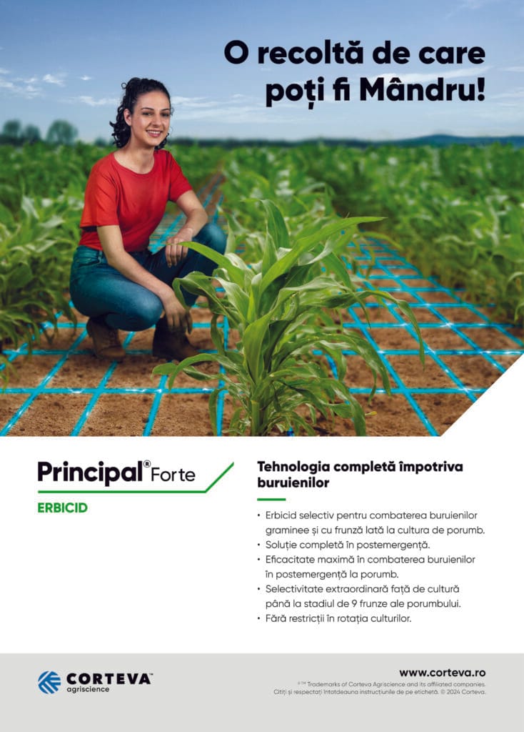 Principal Forte corteva