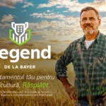 hingios rapita bayer