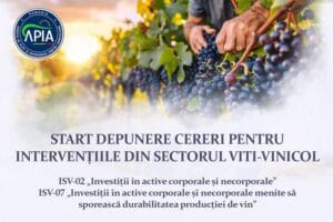 cerere vitivinicol