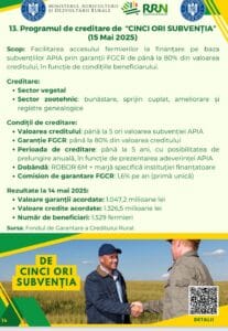 cinci ori subventia