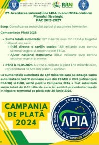 raport subv apia 1