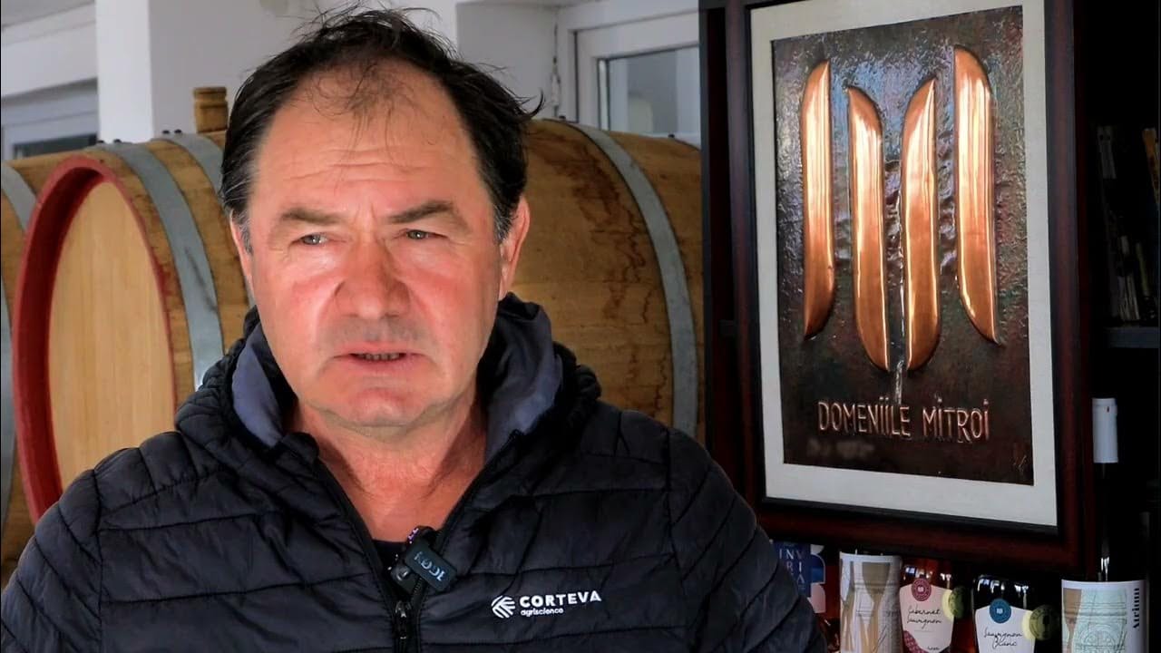 Domeniile Mitroi Dumitru Banea fainarea vitei de vie talendo